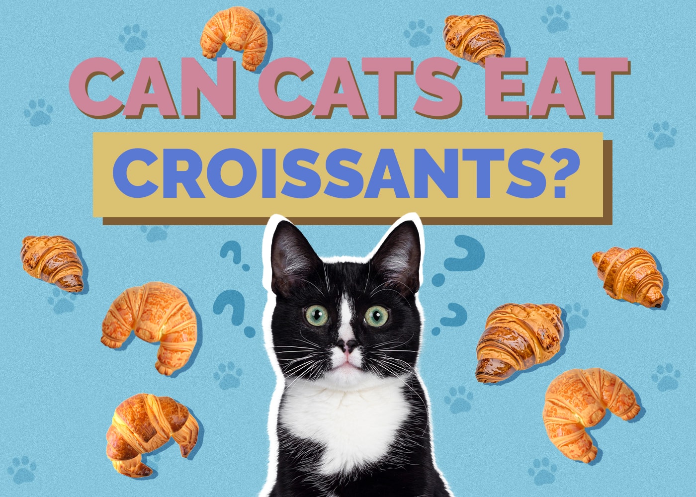 Can Cats Eat Croissants? Vet-Reviewed Facts & FAQ