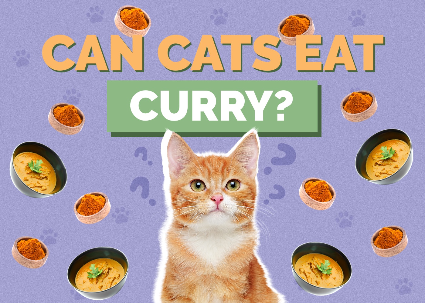 Can Cats Eat Curry? Nutritional Facts & Safety Guide