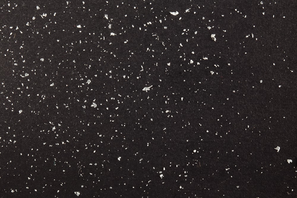 Why Does My Cat Have Dandruff? 8 Vet-Reviewed Possible Reasons