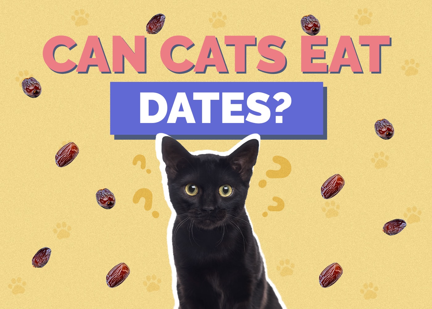 Can Cats Eat Dates? Vet-Approved Facts & Safety Guide