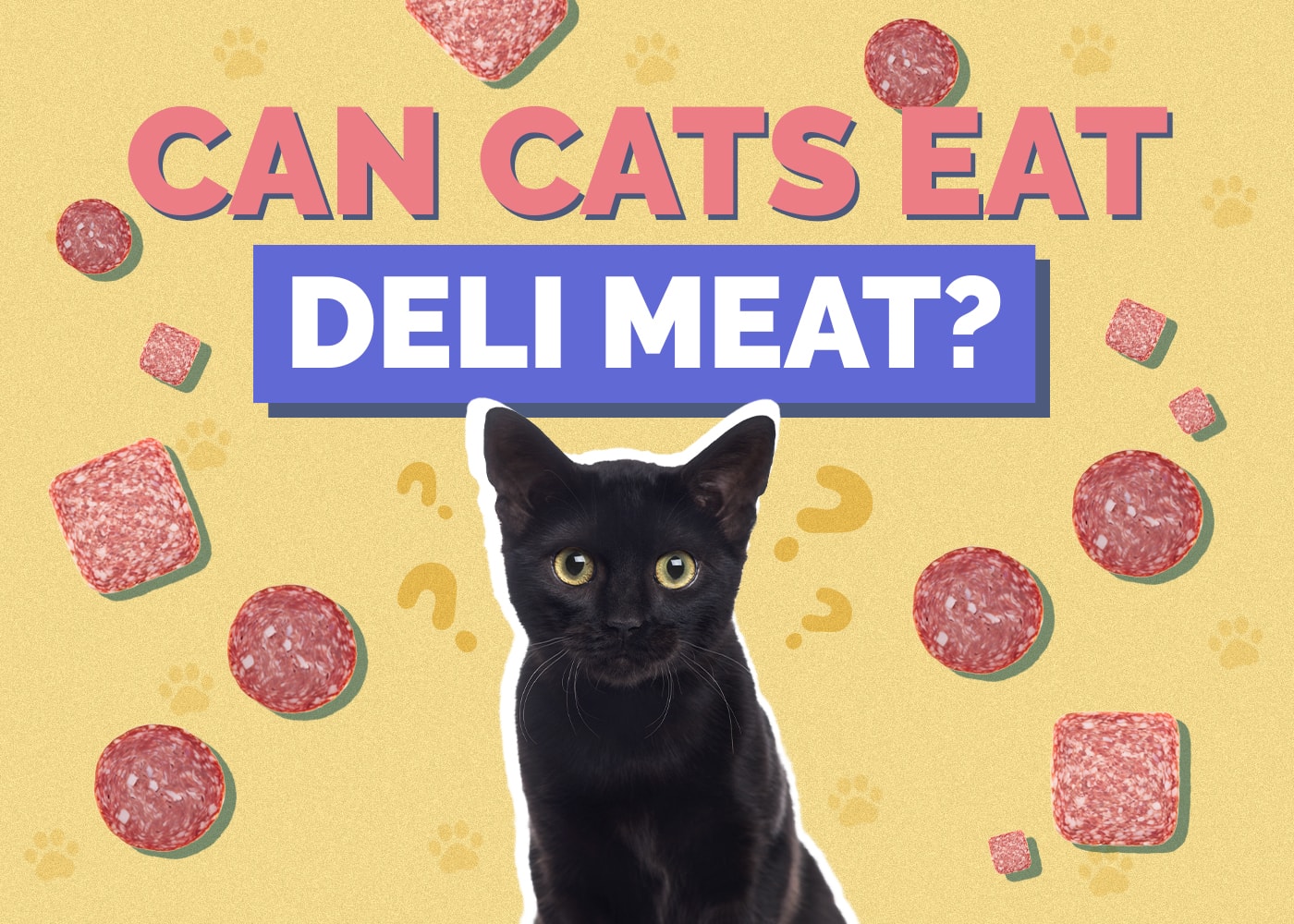 Can Cats Eat Deli Meat (Lunch Meat)? Nutritional Facts & Safety Guide