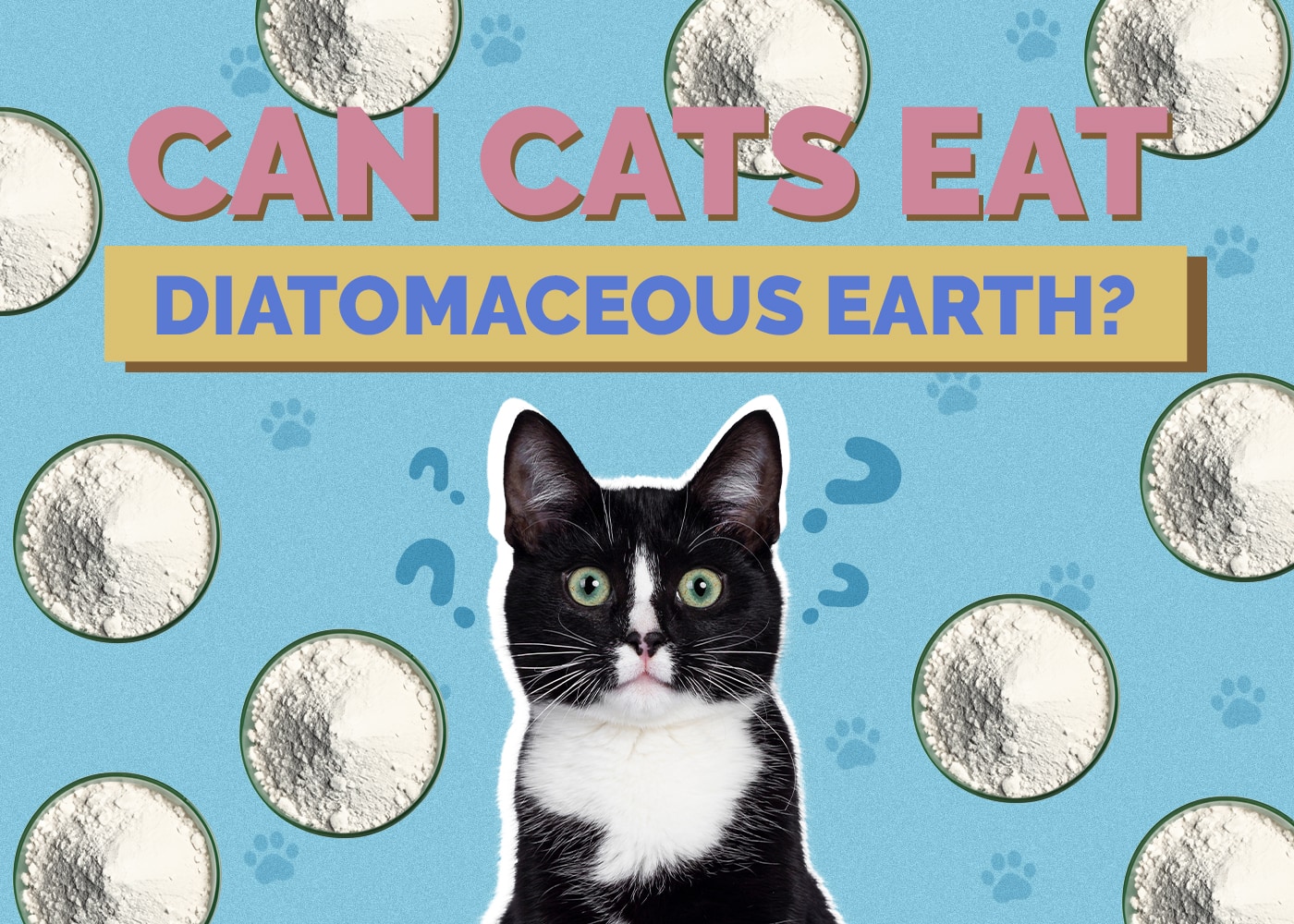 Can Cats Eat Diatomaceous Earth? Nutritional Facts & Safety Guide