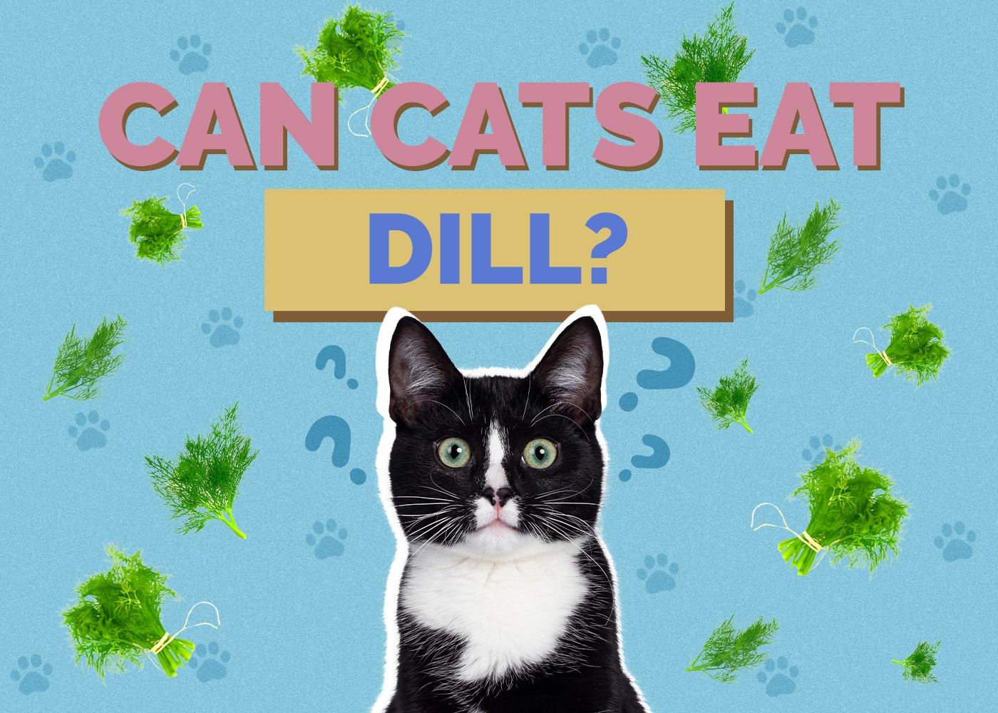 Can Cats Eat Dill? Vet-Reviewed Nutritional Facts & Safety Guide