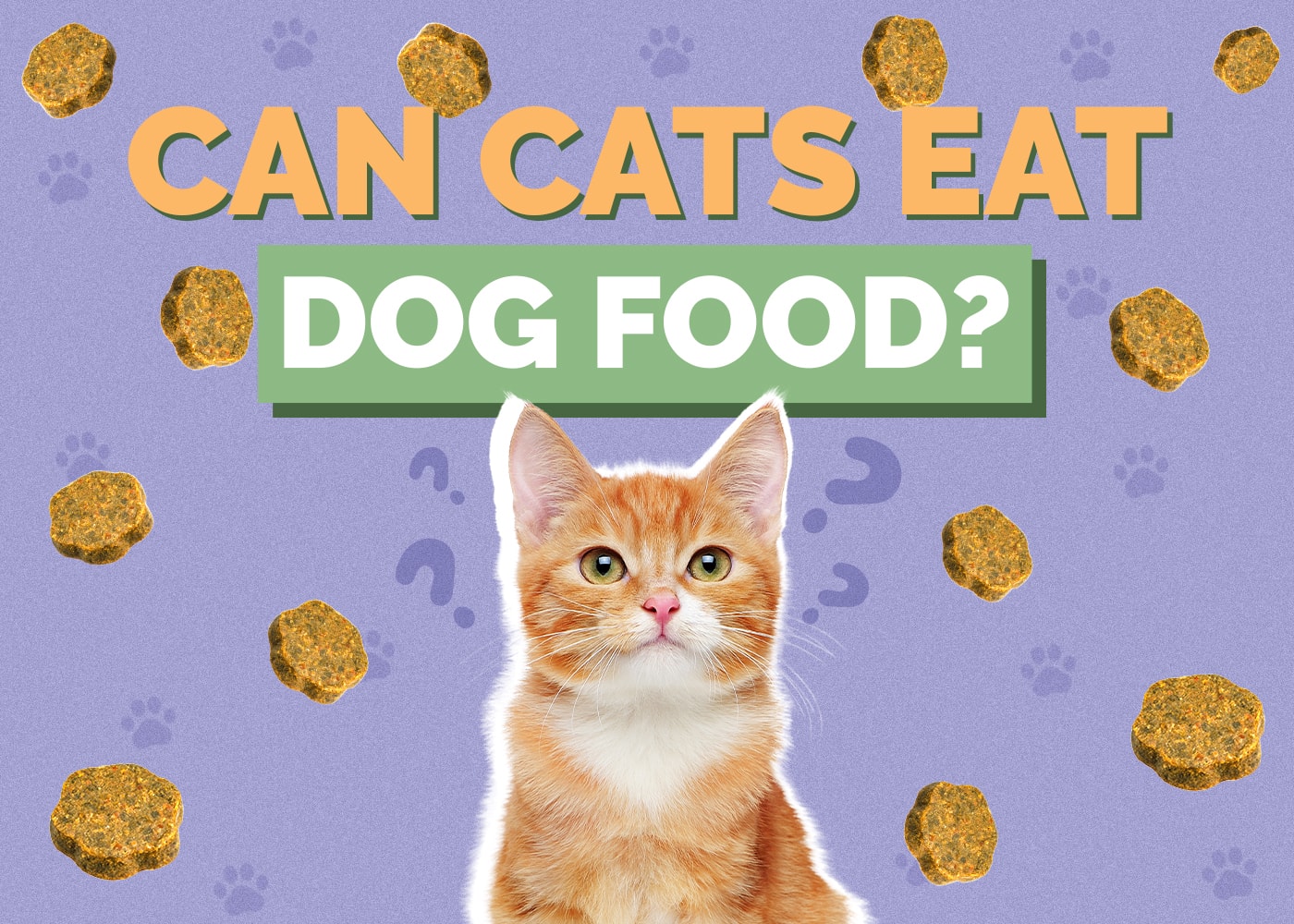 Can Cats Eat Dog Food? Vet Approved Facts & Safety Guide