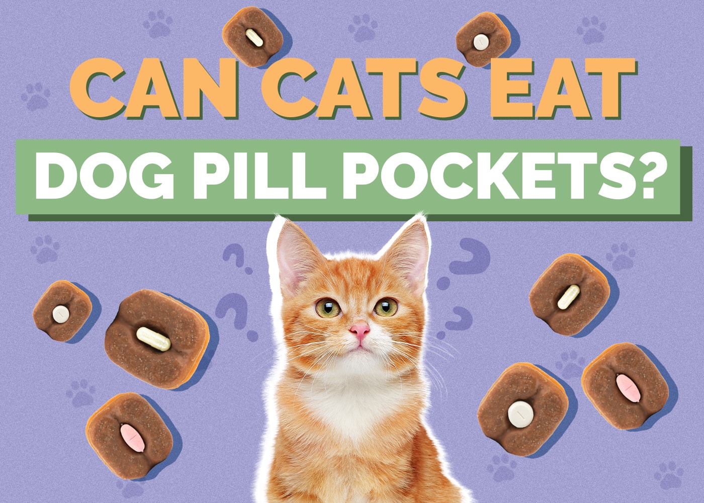 Can Cats Eat Dog Pill Pockets? Nutritional Facts & Safety Guide