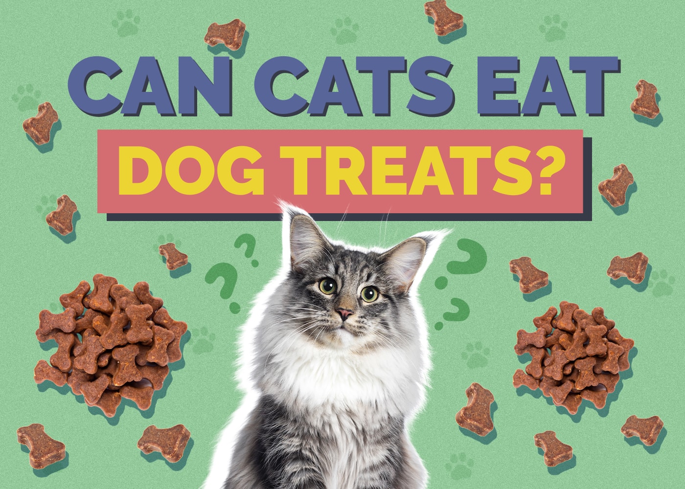 Can Cats Eat Dog Treats? Nutritional Facts & Safety Guide