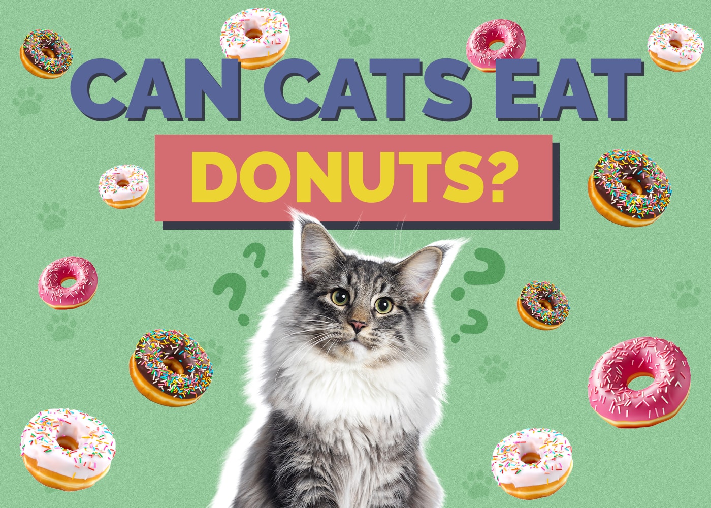 Can Cats Eat Donuts? Nutritional Facts & Safety Guide