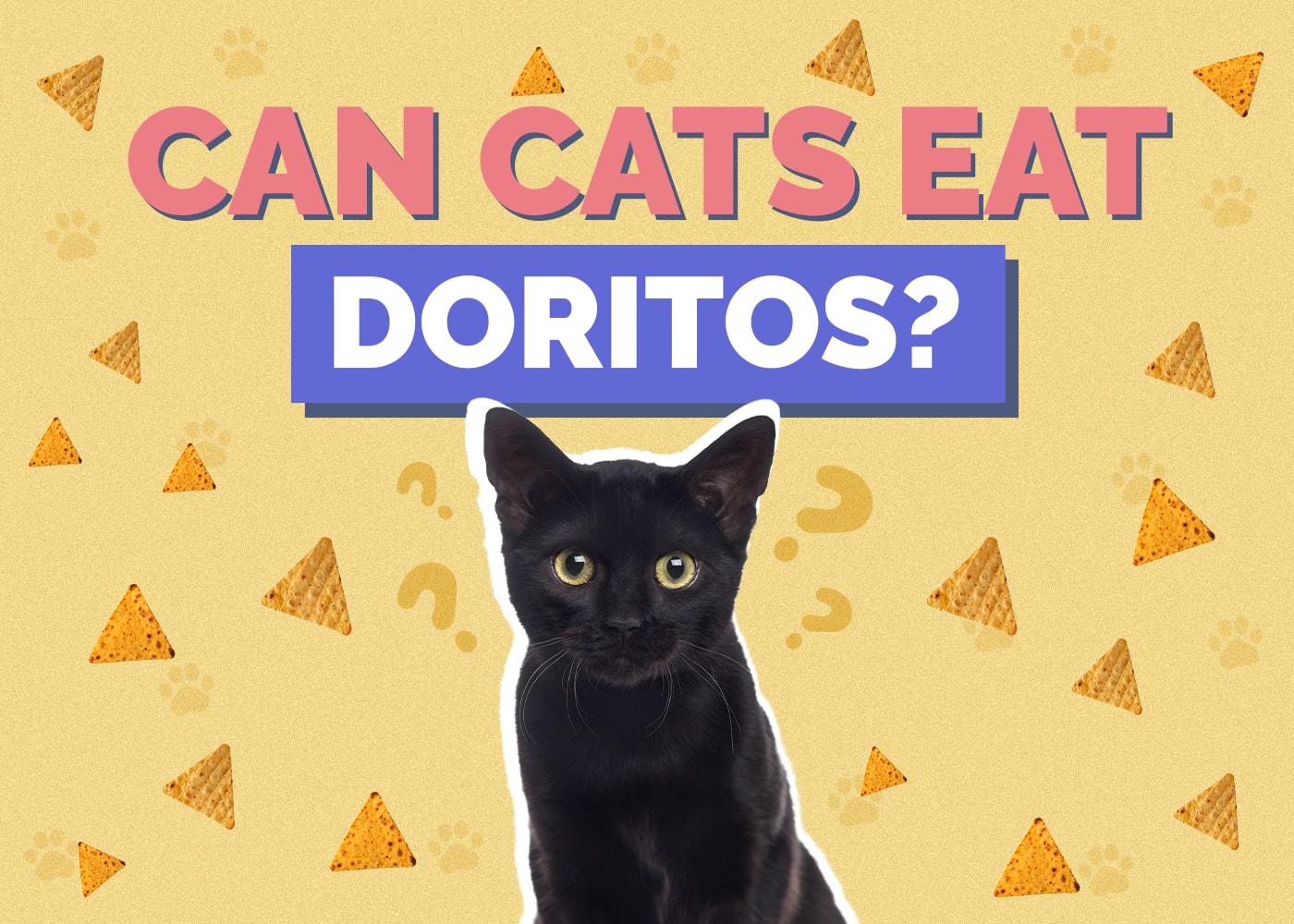 Can Cats Eat Doritos? Nutritional Facts & Safety Guide