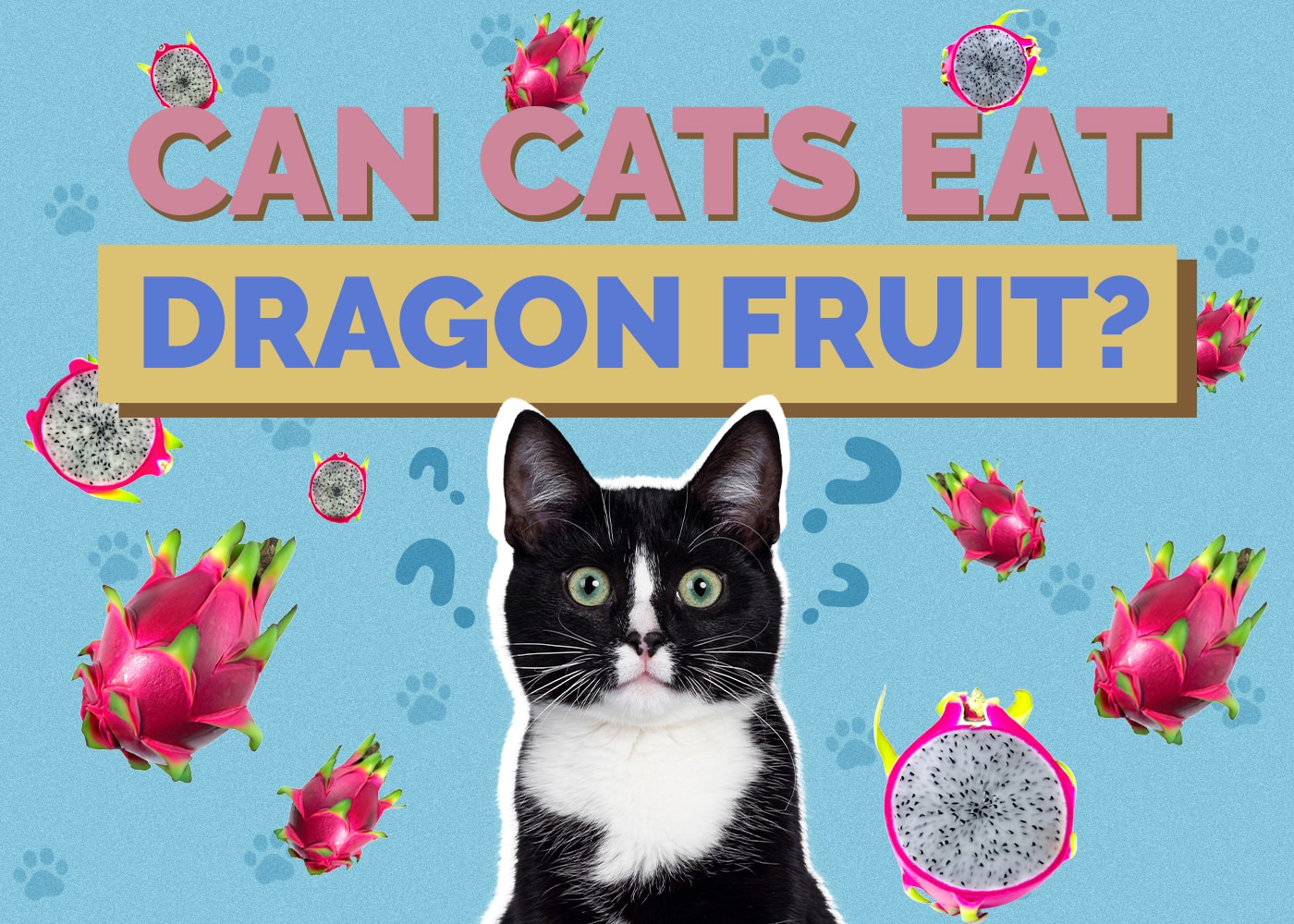 Can Cats Eat Dragon Fruit? Vet-Reviewed Facts & Safety Guide