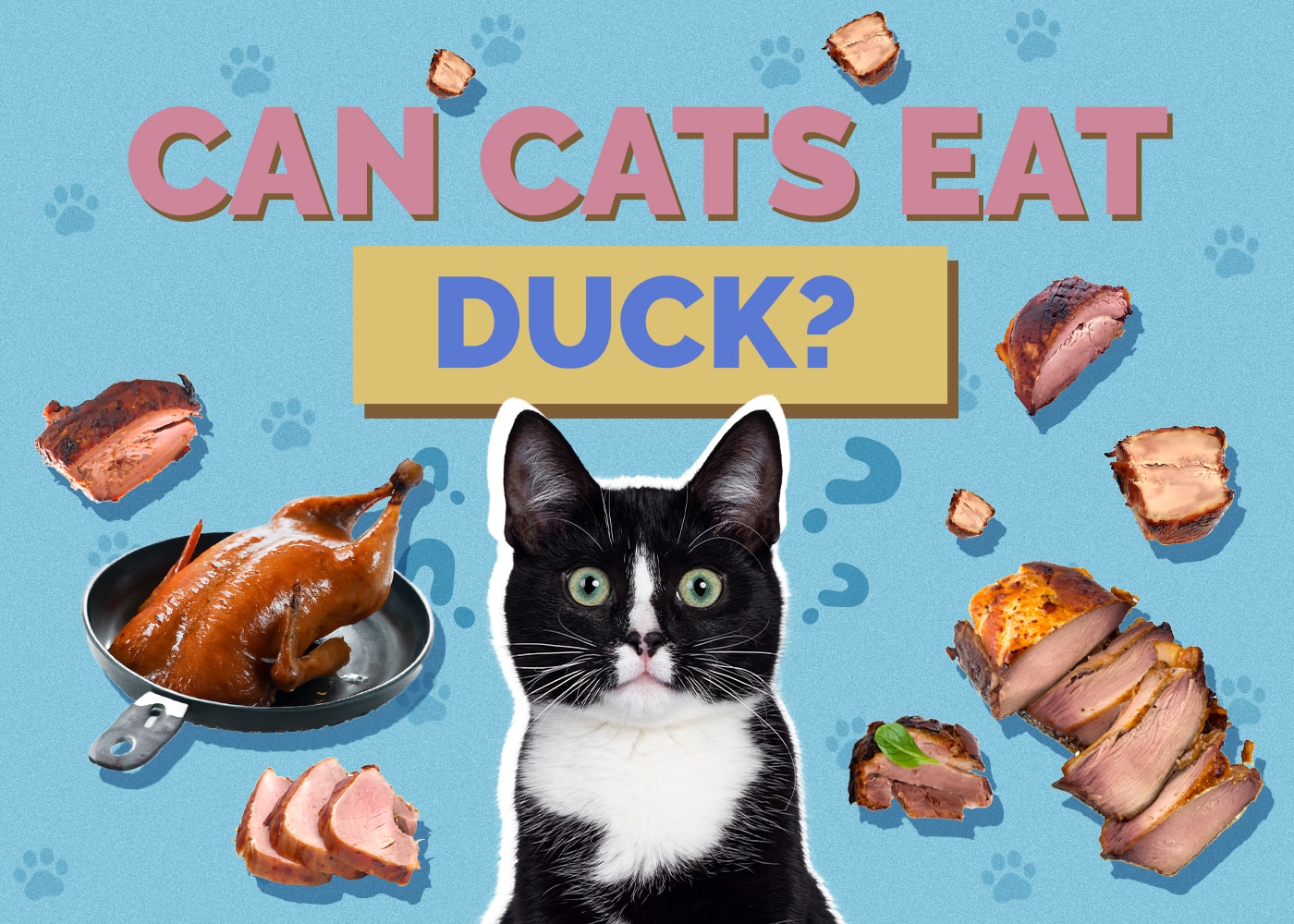 Can Cats Eat Duck? Nutritional Facts & Safety Guide