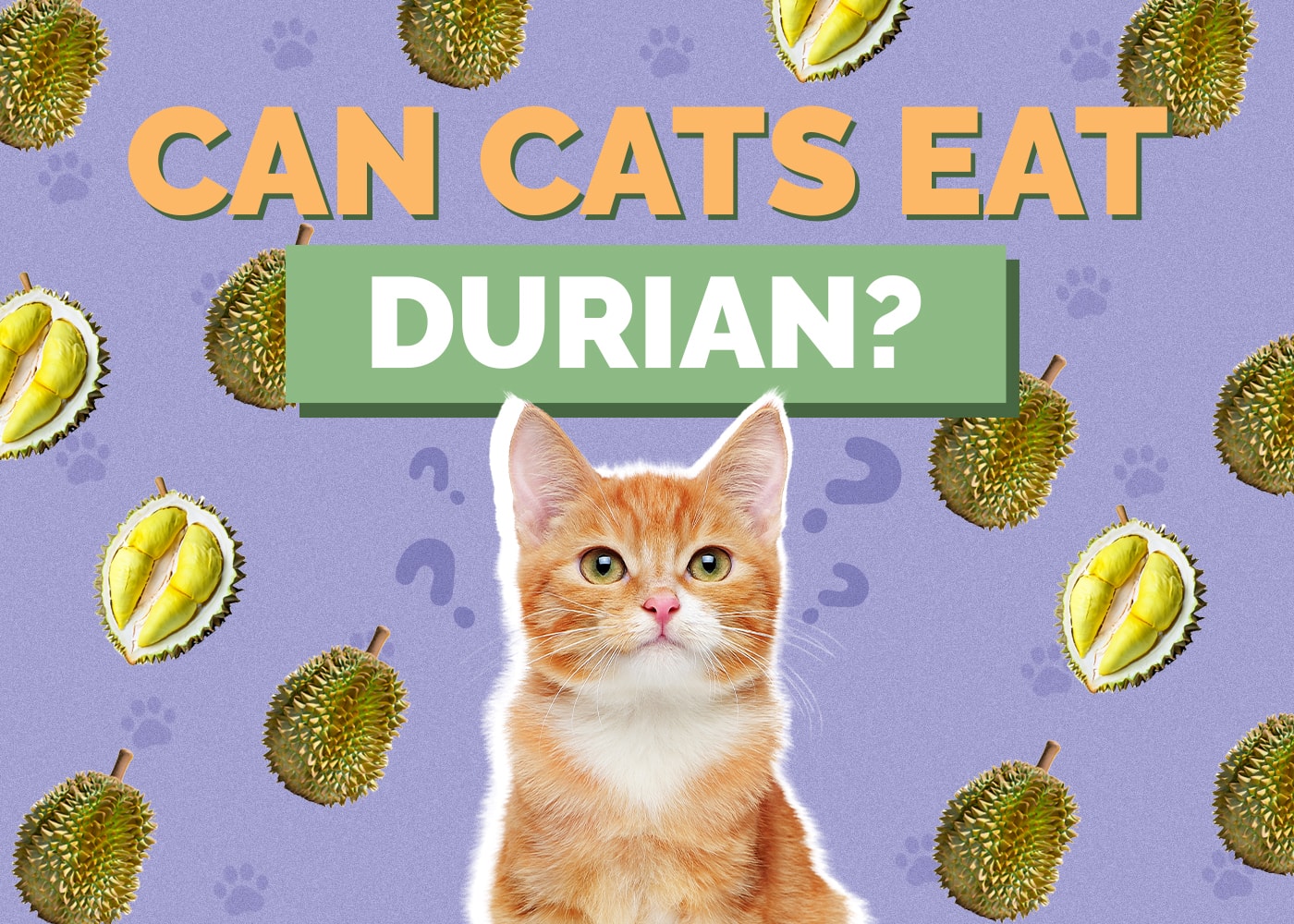 Can Cats Eat Durian? Vet-Reviewed Facts & Safety Guide