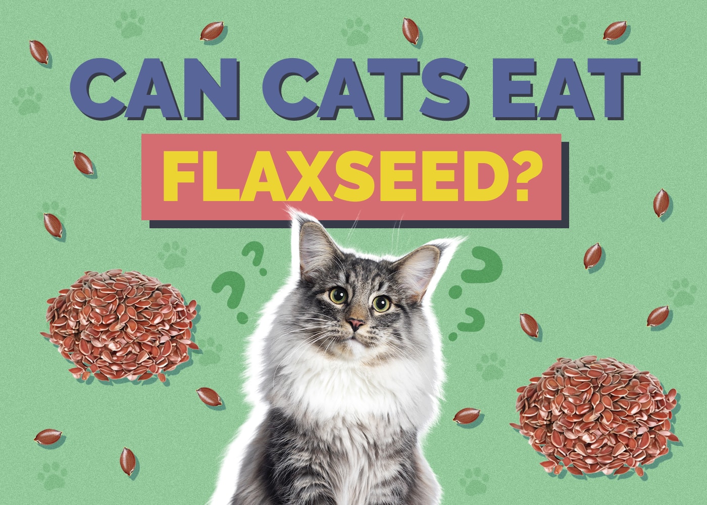 Can Cats Eat Flaxseed? Vet-Reviewed Facts & Potential Health Benefits