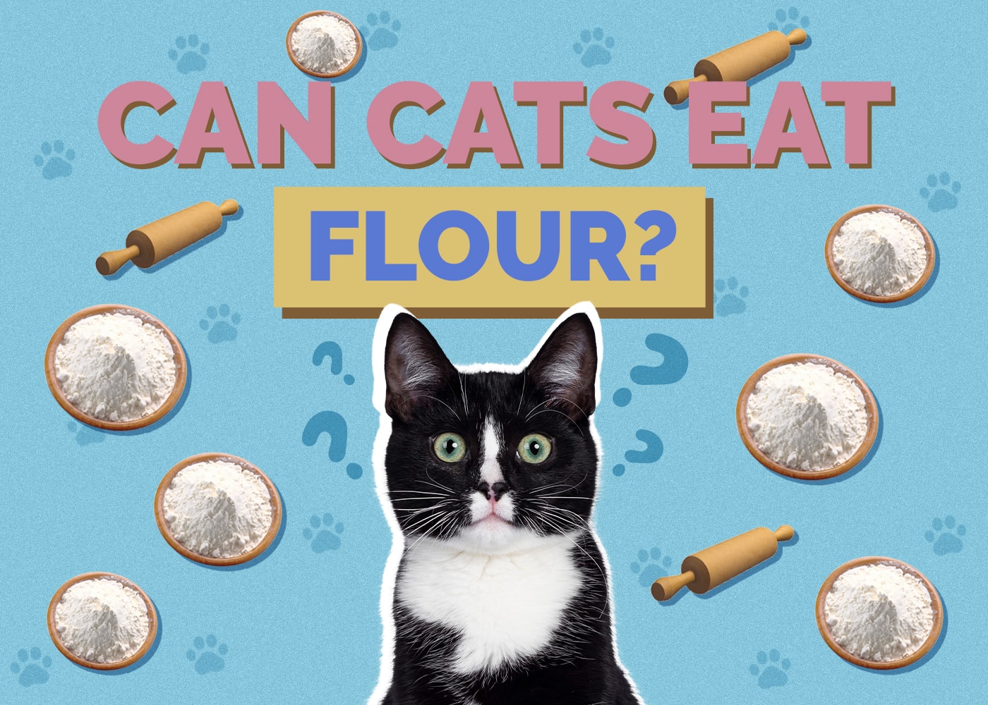 Can Cats Eat Flour? Nutritional Facts & Safety Guide