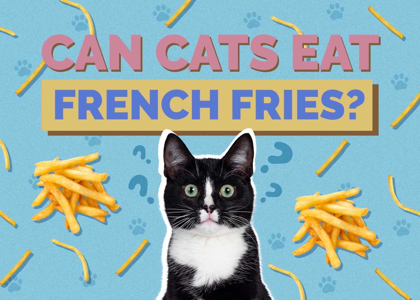 Can Cats Eat French Fries? Vet-Verified Nutrition Facts & FAQ