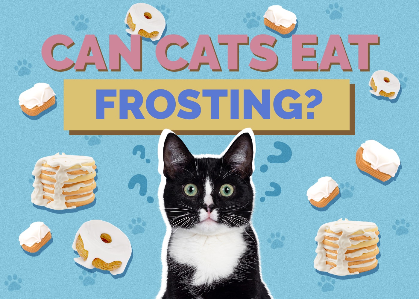 Can Cats Eat Frosting? Vet-Reviewed Facts & Safety Guide