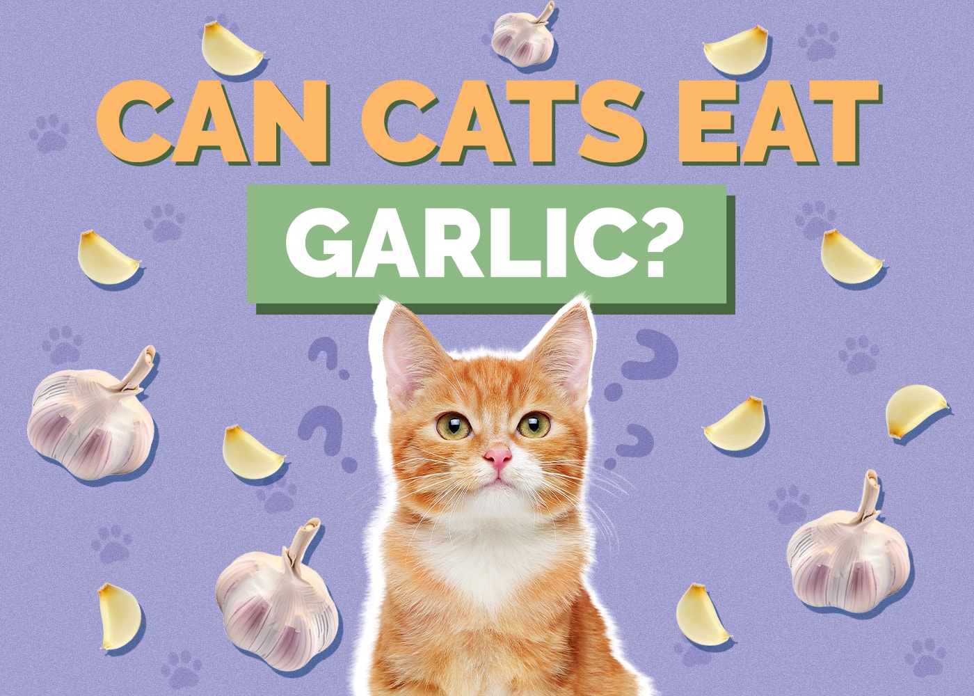Can Cats Eat Garlic? Vet-Reviewed Facts & Safety Tips