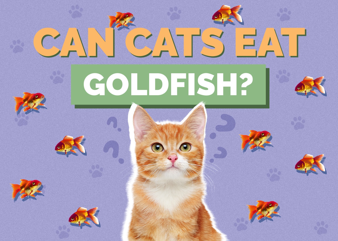 Can Cats Eat Goldfish? Nutritional Facts & Safety Guide
