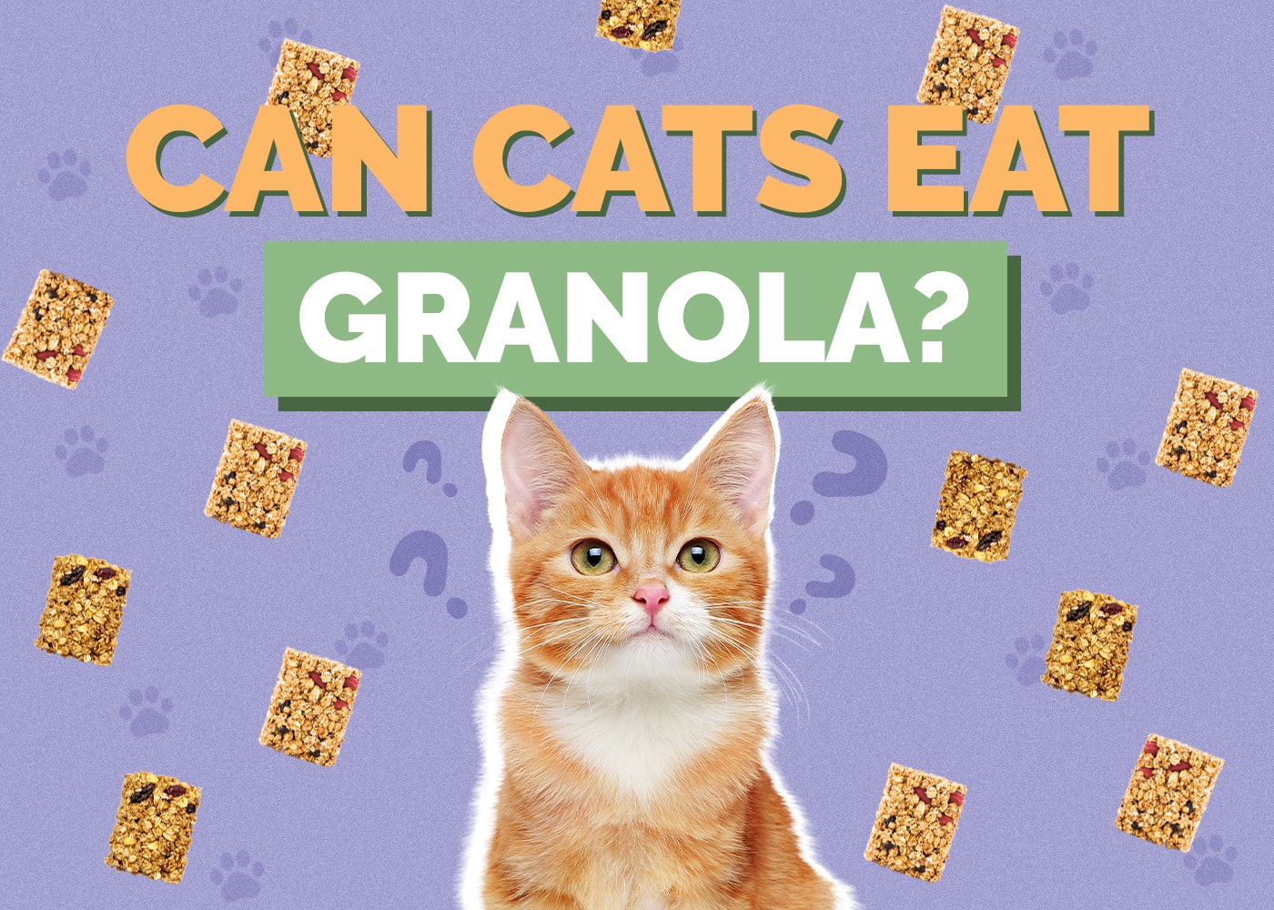 Can Cats Eat Granola? Vet-Reviewed Nutritional Facts & Safety Guide