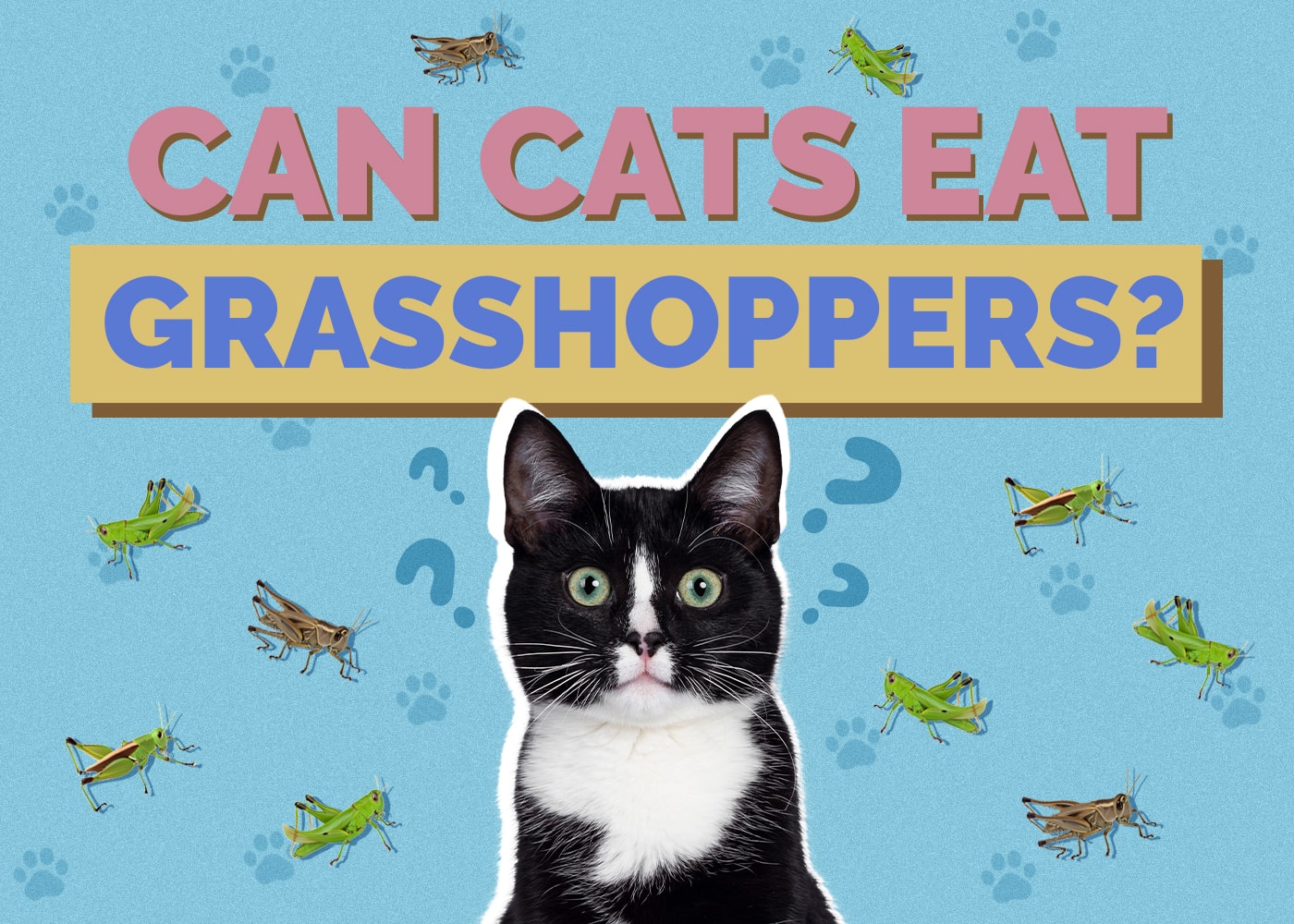 Can Cats Eat Grasshoppers? Nutritional Facts & Safety Guide