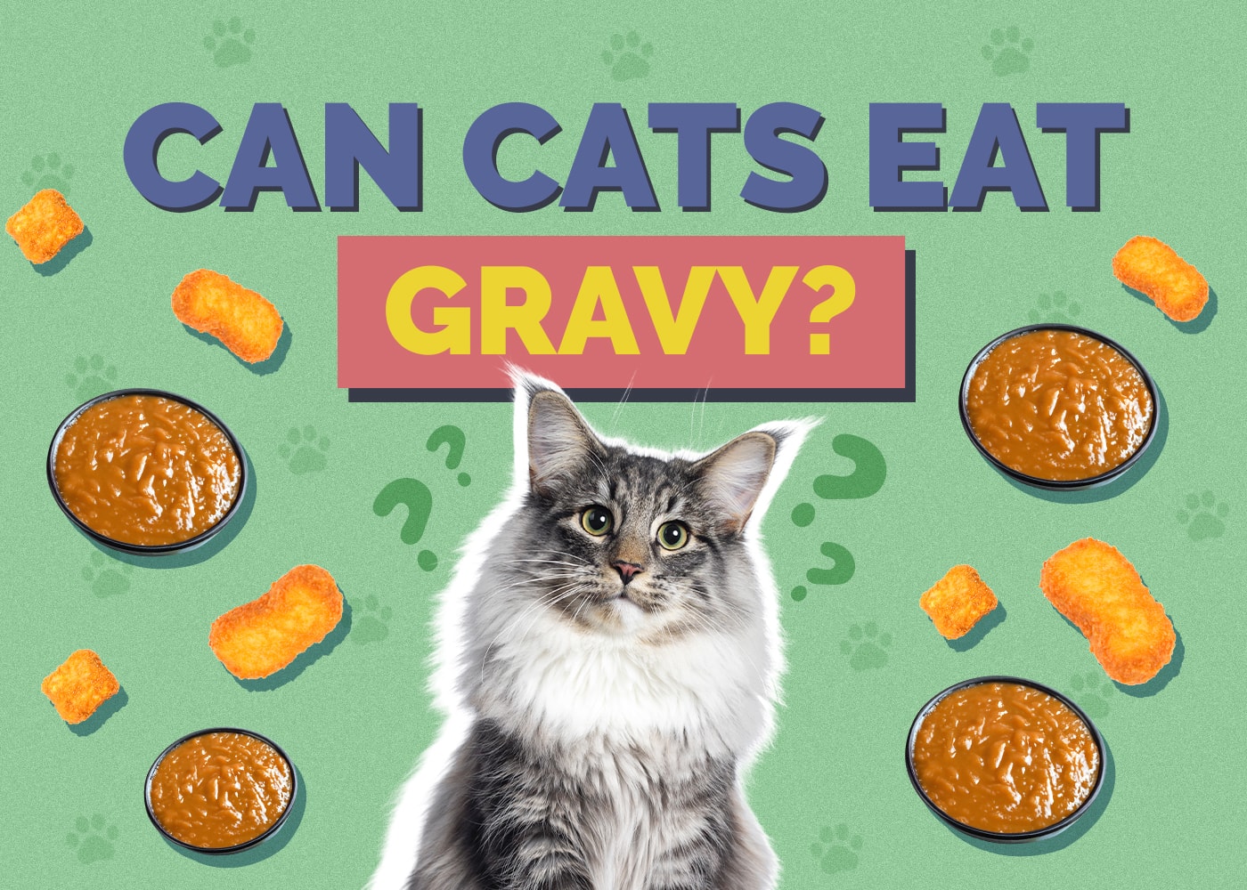 Can Cats Eat Gravy? Vet-Reviewed Facts & FAQ