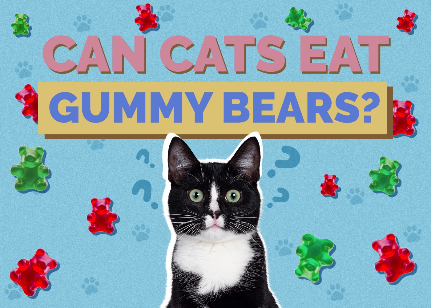 Can Cats Eat Gummy Bears? Vet-Approved Facts & Health Risks
