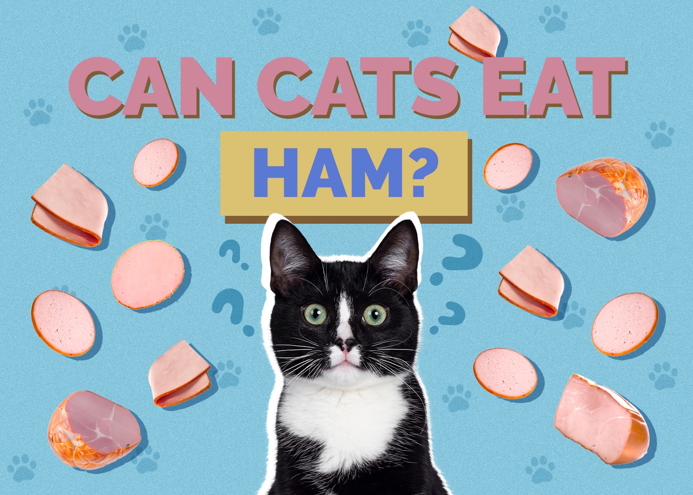 Can Cats Eat Ham? Vet-Reviewed Health & Safety Guide
