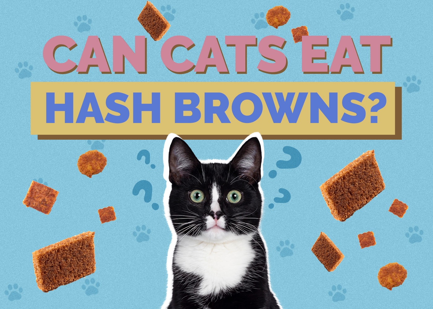 Can Cats Eat Hash Browns? Vet-Reviewed Nutritional Facts & Safety Guide