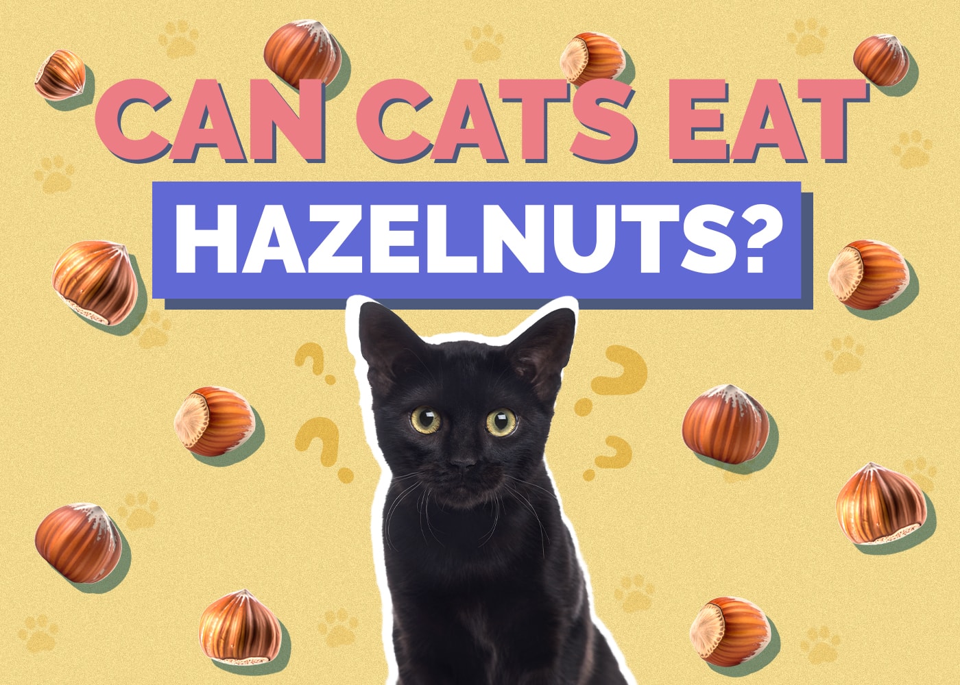 Can Cats Eat Hazelnuts? Vet-Approved Safety Facts & Guide