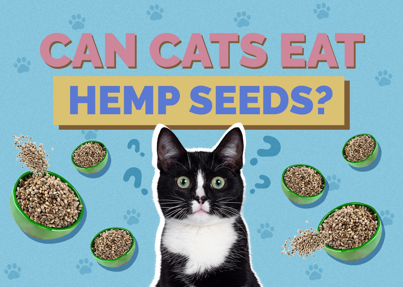 Can Cats Eat Hemp Seeds? Vet-Reviewed Info to Know