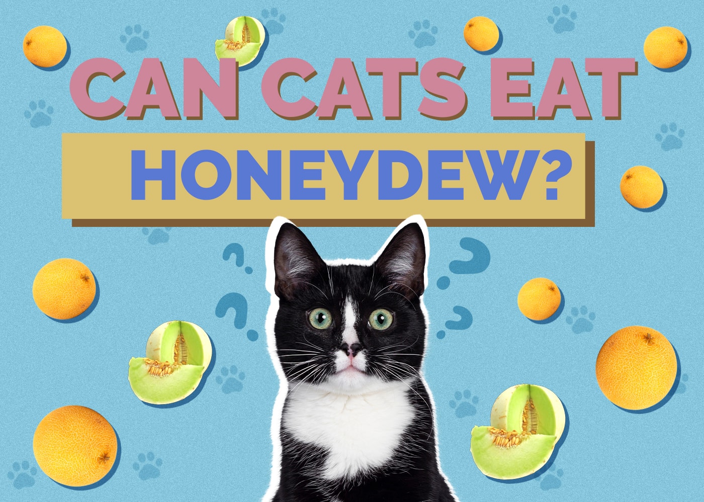 Can Cats Eat Honeydew? Nutritional Facts & Safety Guide