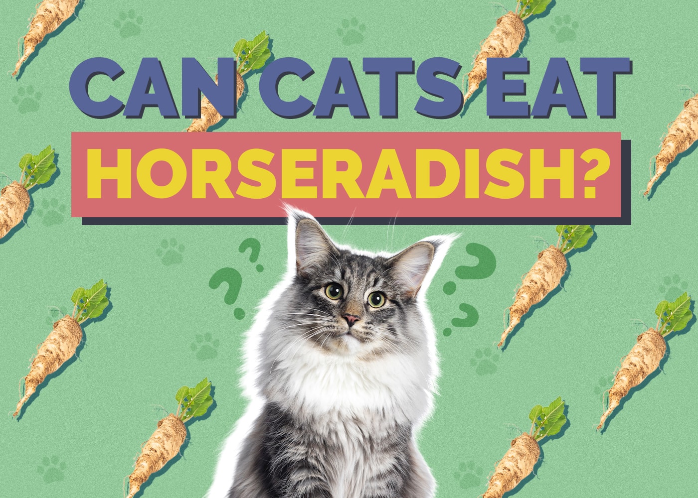 Can Cats Eat Horseradish? Vet-Reviewed Facts & Safety Guide