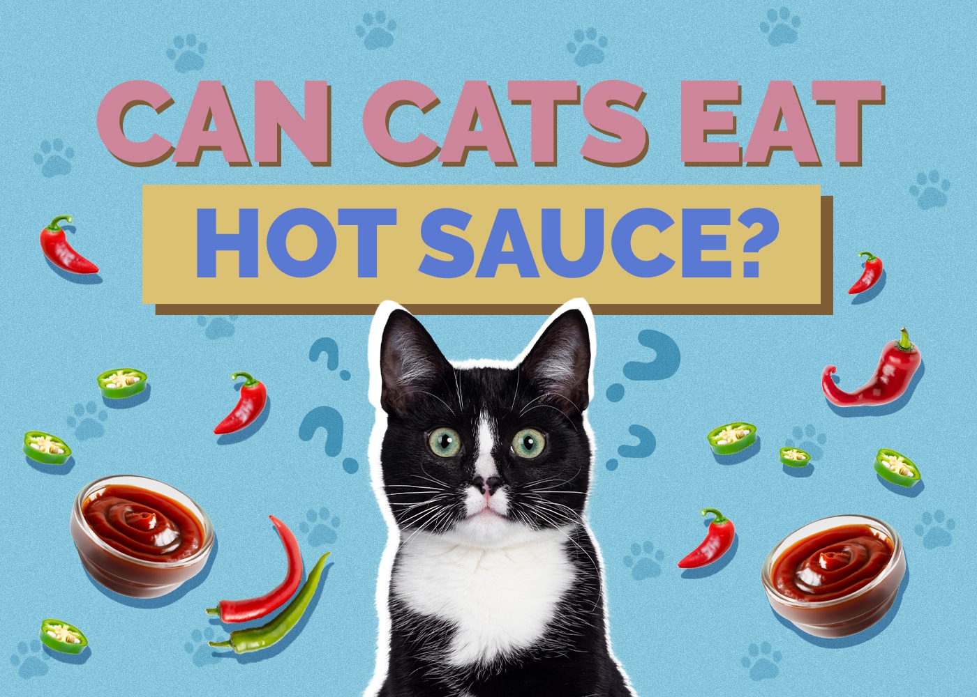 Can Cats Eat Hot Sauce? Vet-Approved Facts & FAQ