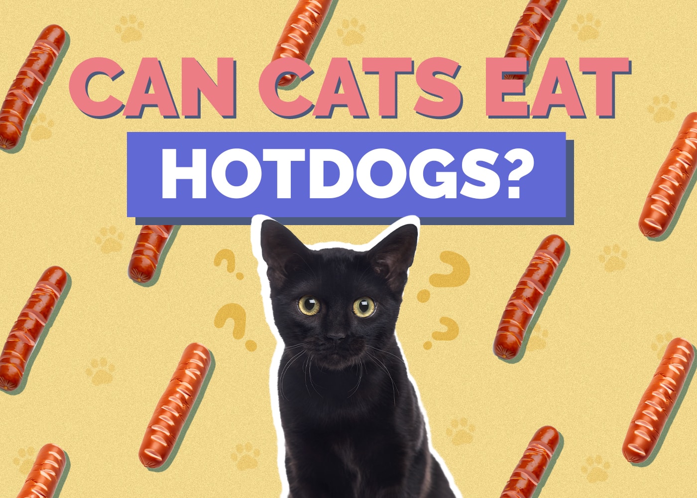 Can Cats Eat Hot Dogs? Vet-Reviewed Facts To Know