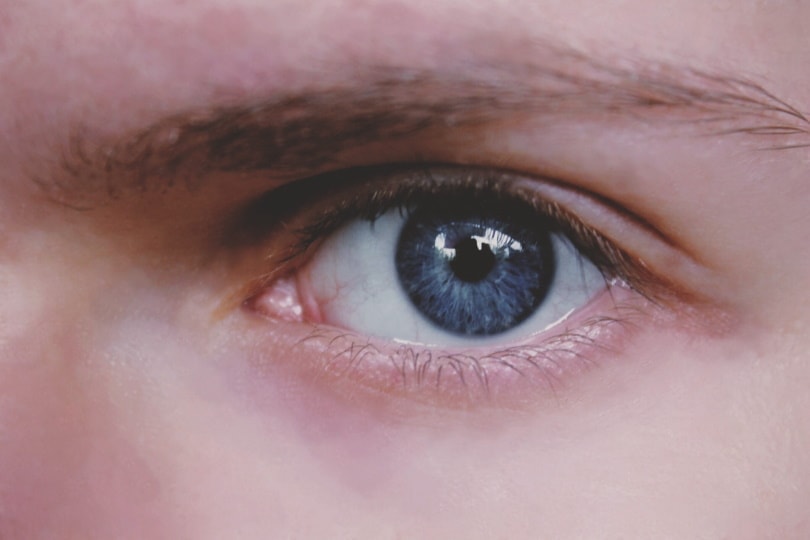 human eye close up