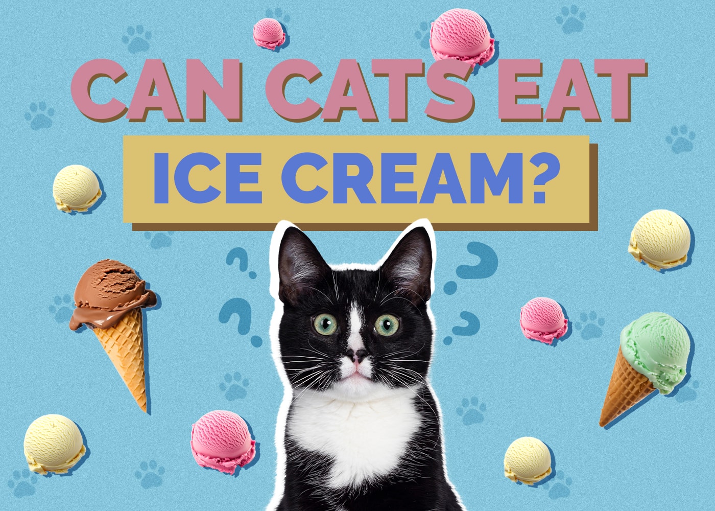 Can Cats Eat Ice Cream? Vet-Approved Nutrition Facts & FAQ