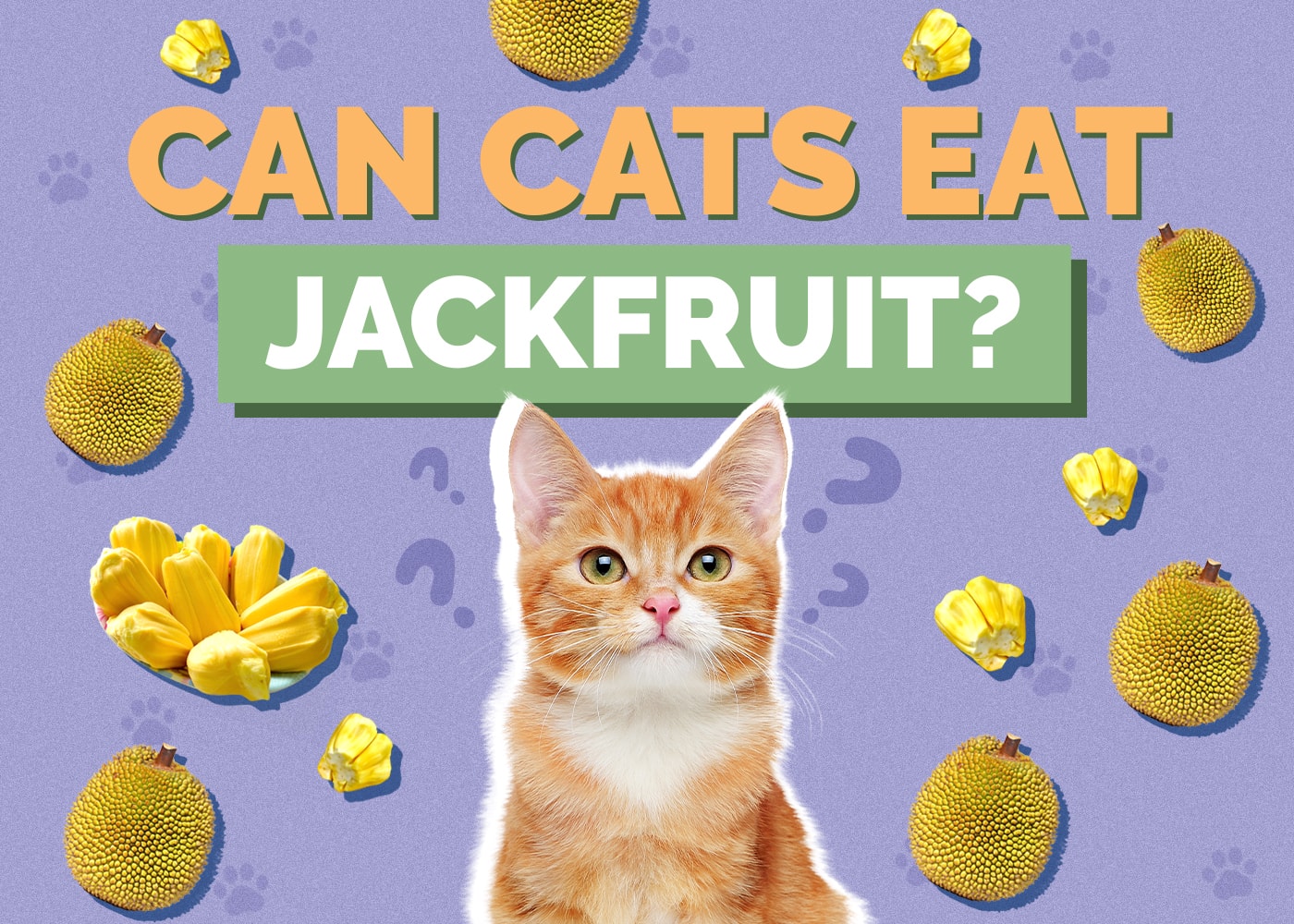 Can Cats Eat Jackfruit? Nutritional Facts & Safety Guide