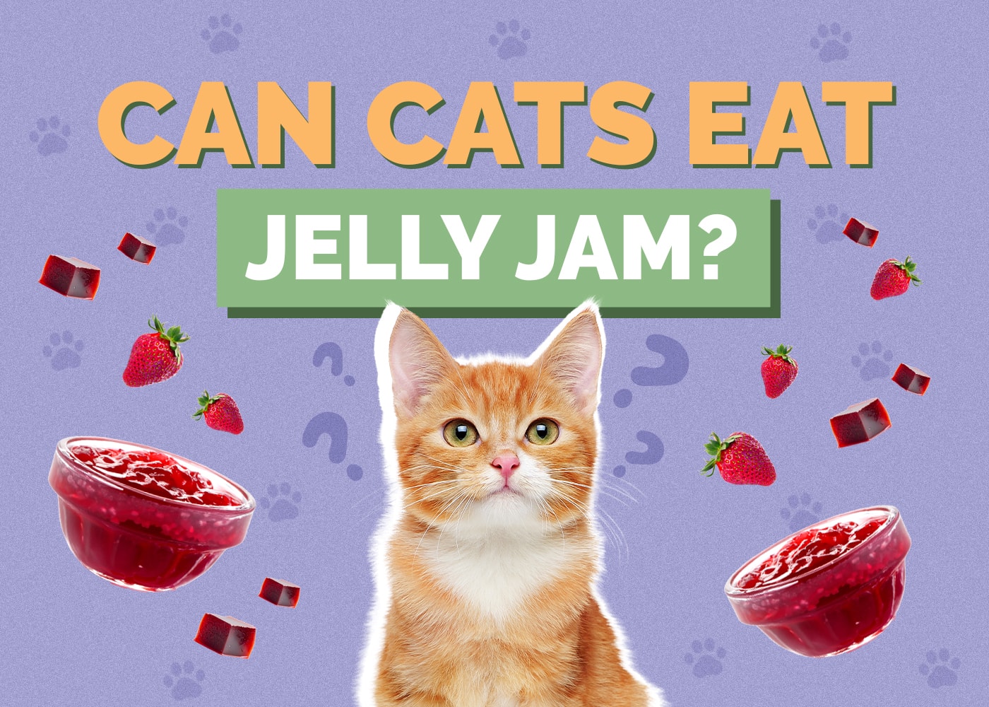 Can Cats Eat Jelly (Jam)? Vet-Reviewed Facts & Safety Guide
