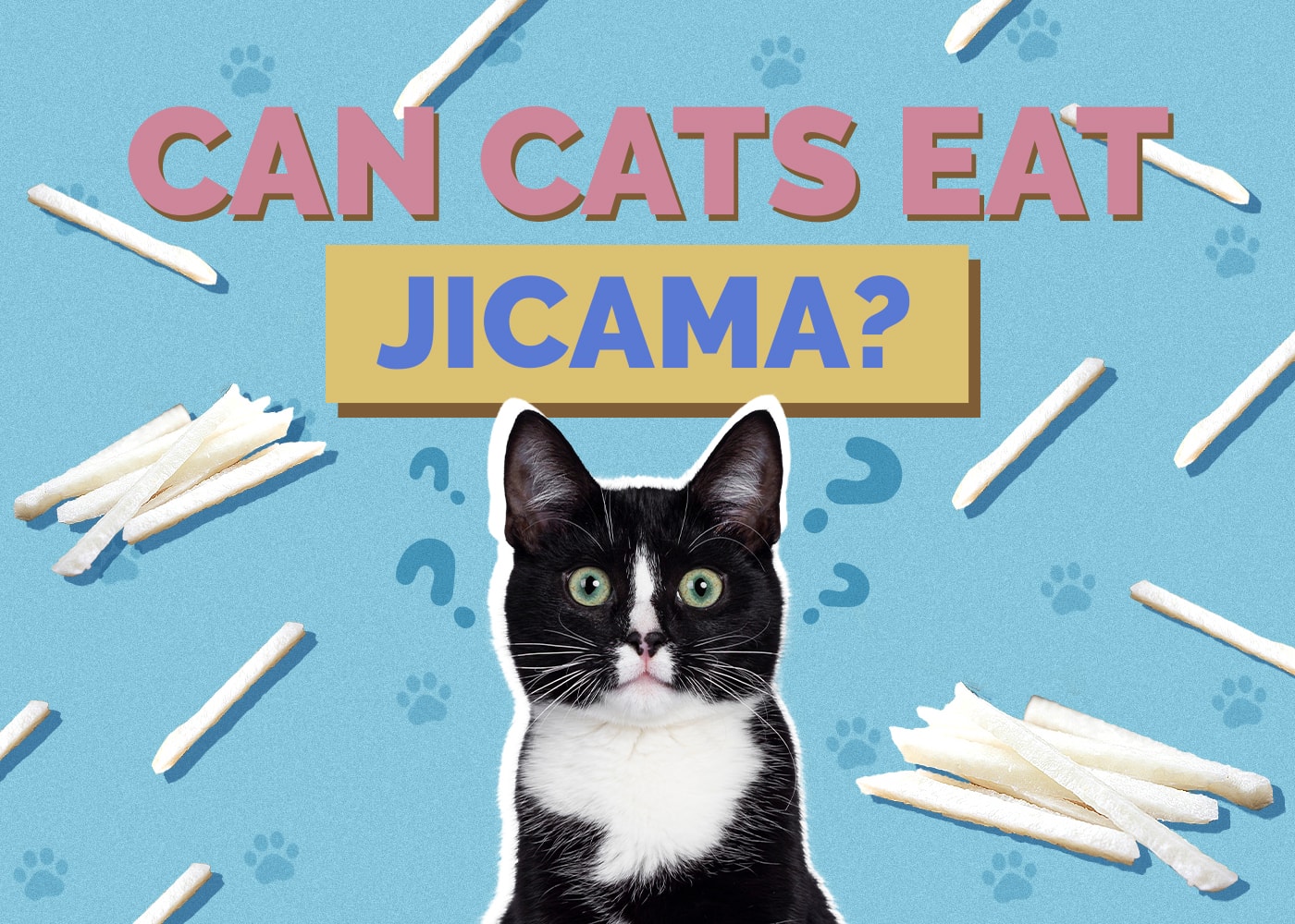 Can Cats Eat Jicama? Vet-Verified Nutrition Facts & FAQ