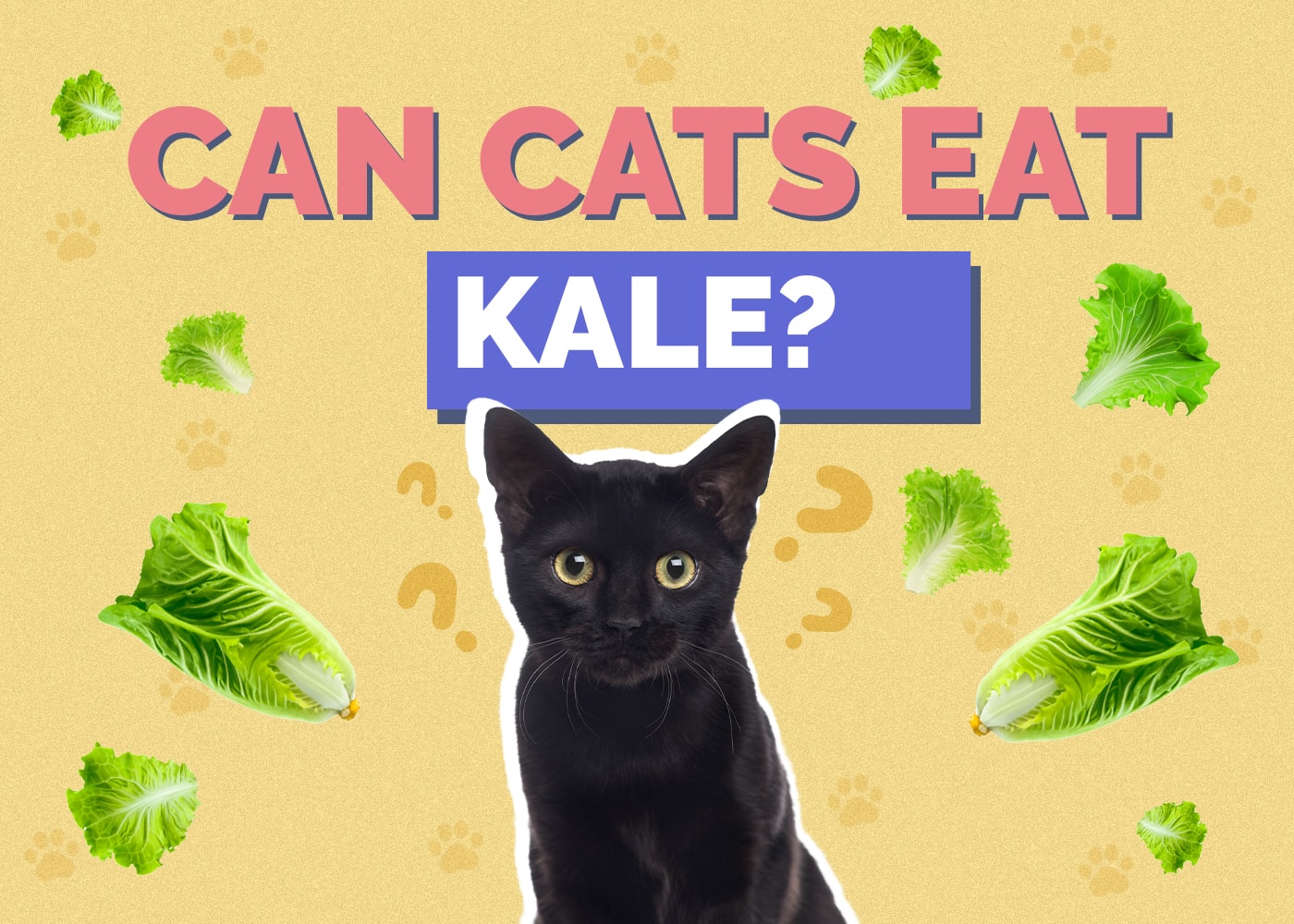 Can Cats Eat Kale? Vet-Reviewed Nutrition Facts & FAQ