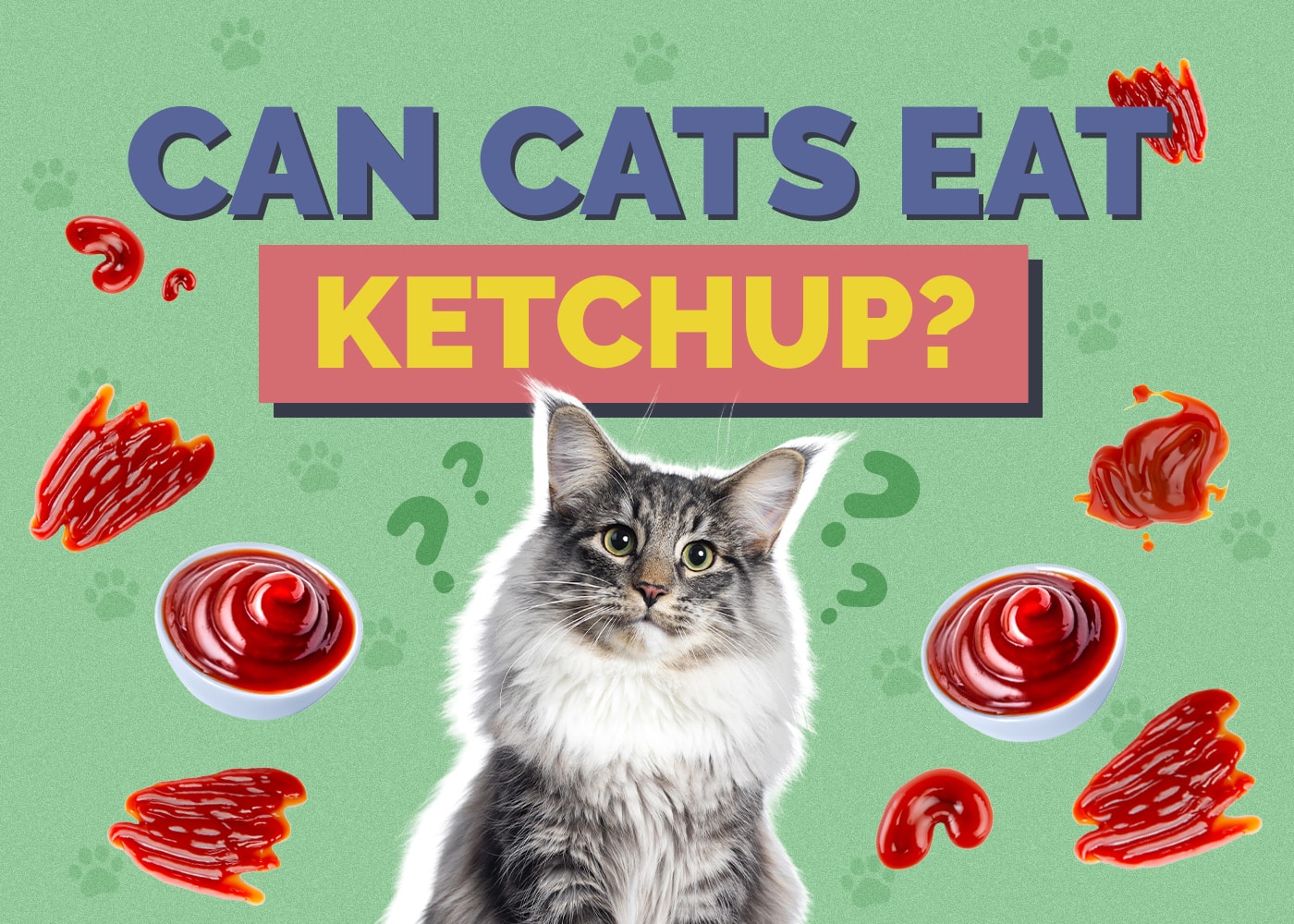 Can Cats Eat Ketchup? Vet-Reviewed Nutrition Facts