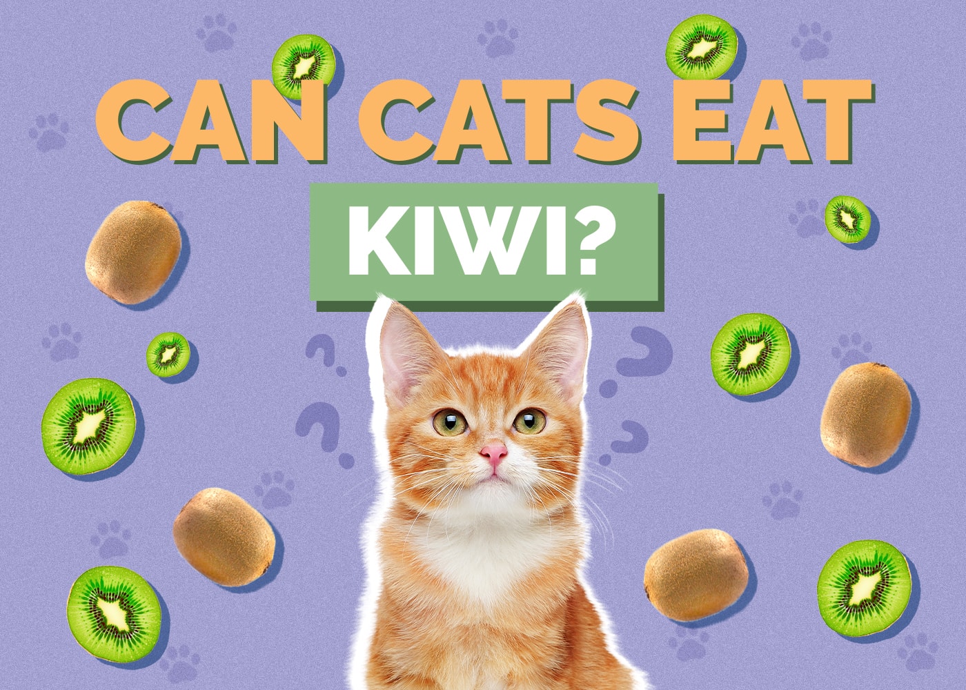 Can Cats Eat Kiwi? Nutrition Facts & FAQ