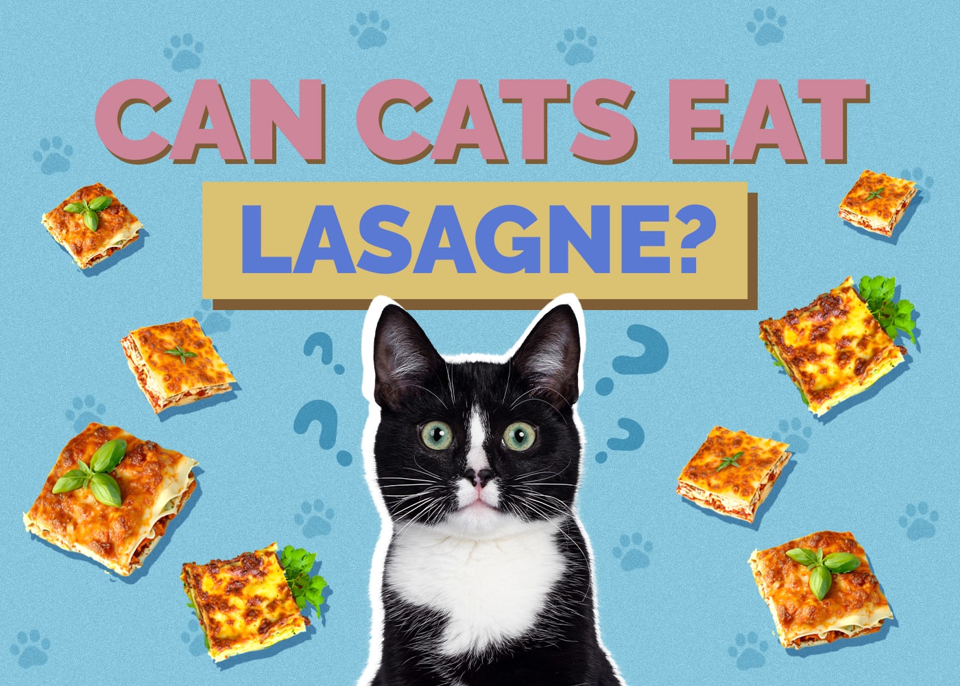 Can Cats Eat Lasagne? Vet-Reviewed Health Facts
