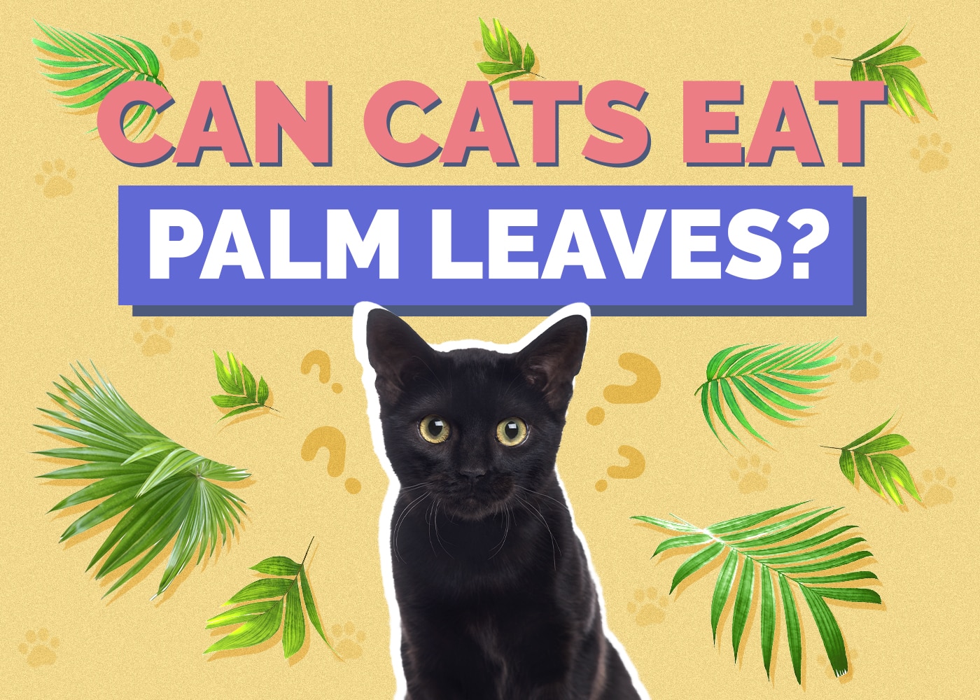 Can Cats Eat Palm Leaves? Vet-Reviewed Facts & FAQ