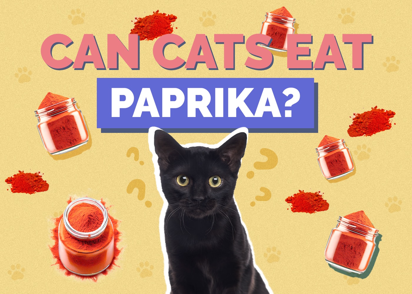 Can Cats Eat Paprika? Vet-Verified Nutrition Facts & Safety Tips