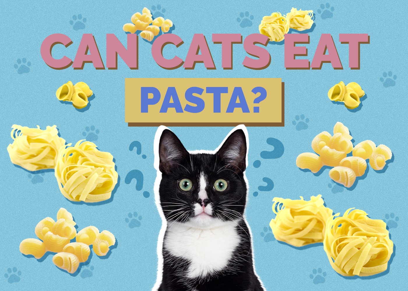 Can Cats Eat Pasta? Vet-Reviewed Nutrition Facts & FAQ