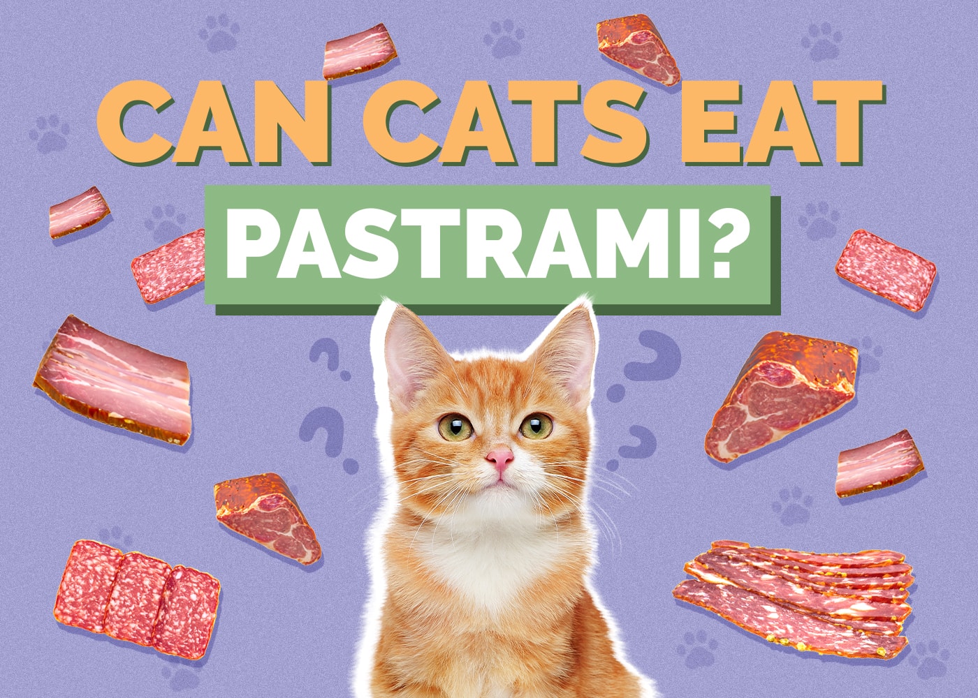 Can Cats Eat Pastrami? What You Need to Know