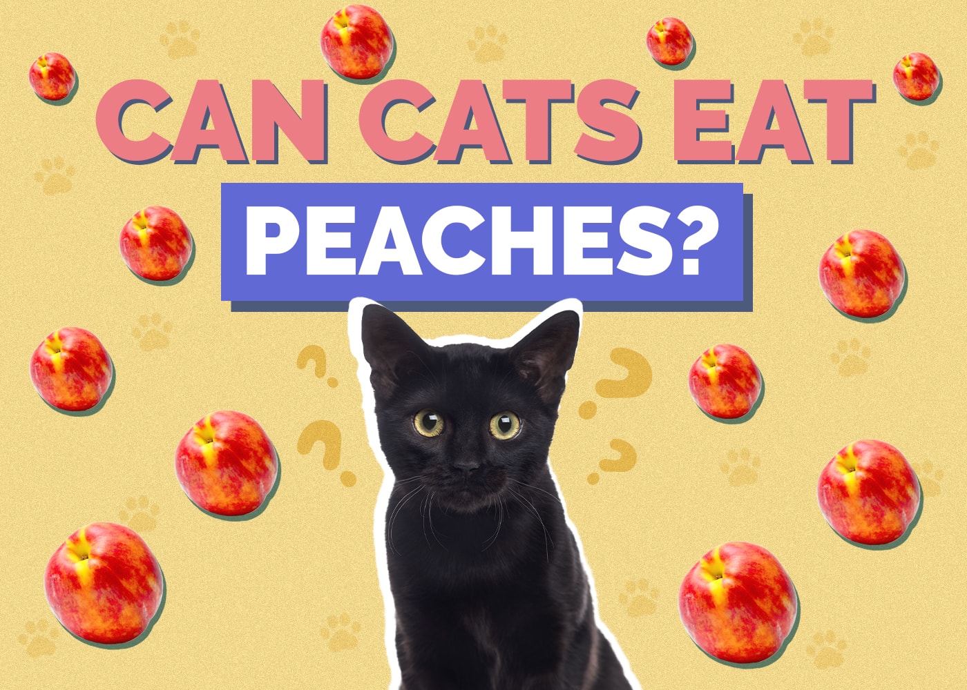 Can Cats Eat Peaches? Vet-Reviewed Facts & FAQ