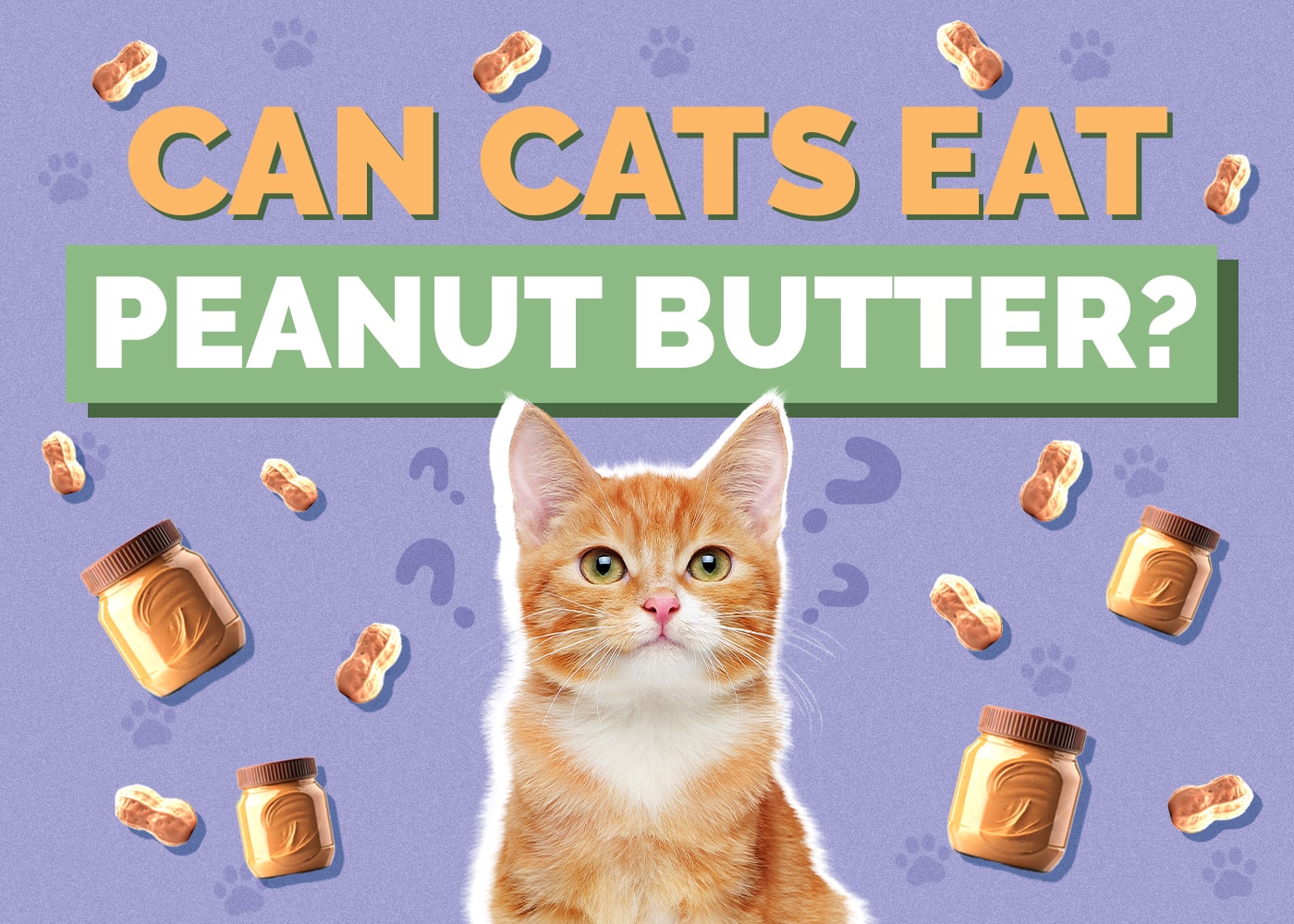 Can Cats Eat Peanut Butter? Vet-Reviewed Facts & Considerations