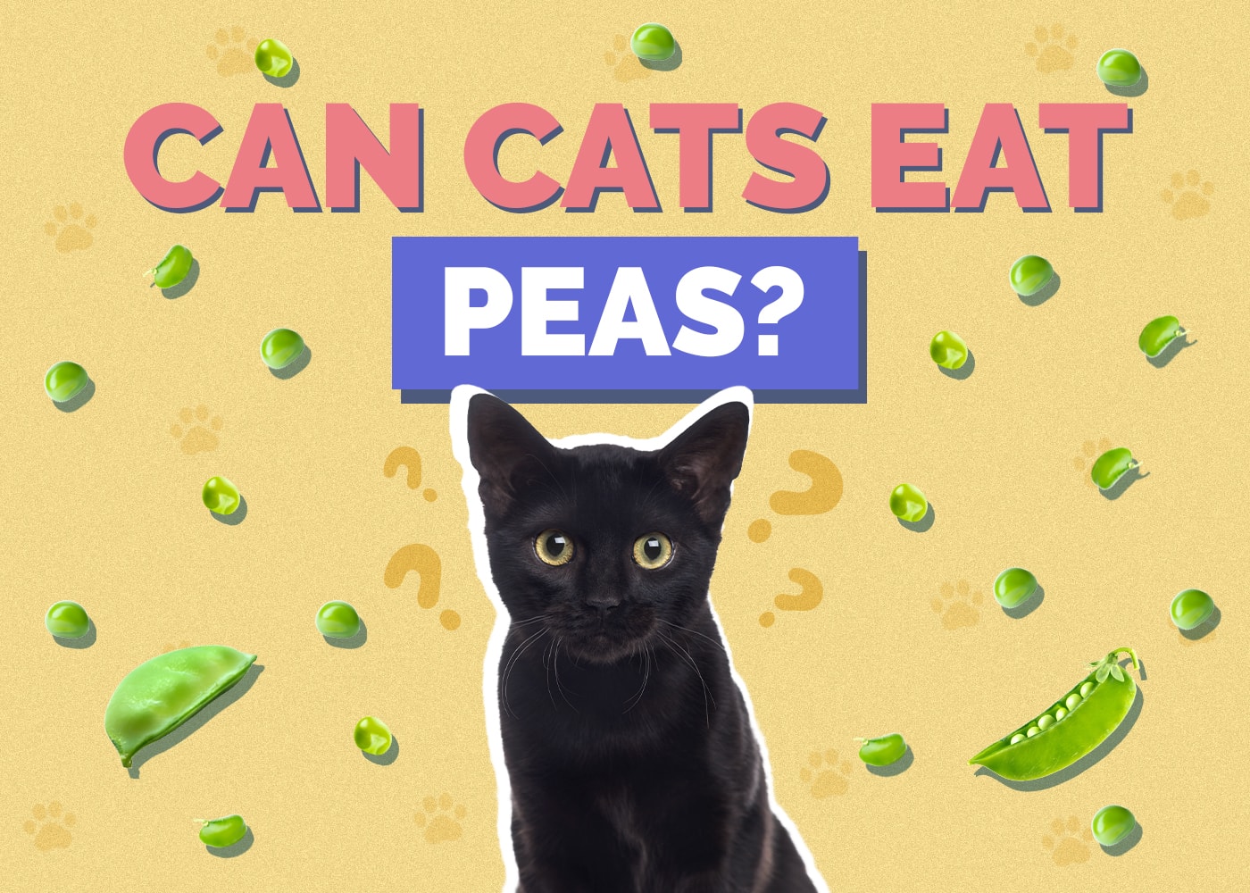 Can Cats Eat Peas? Vet-Reviewed Nutrition Facts & FAQ