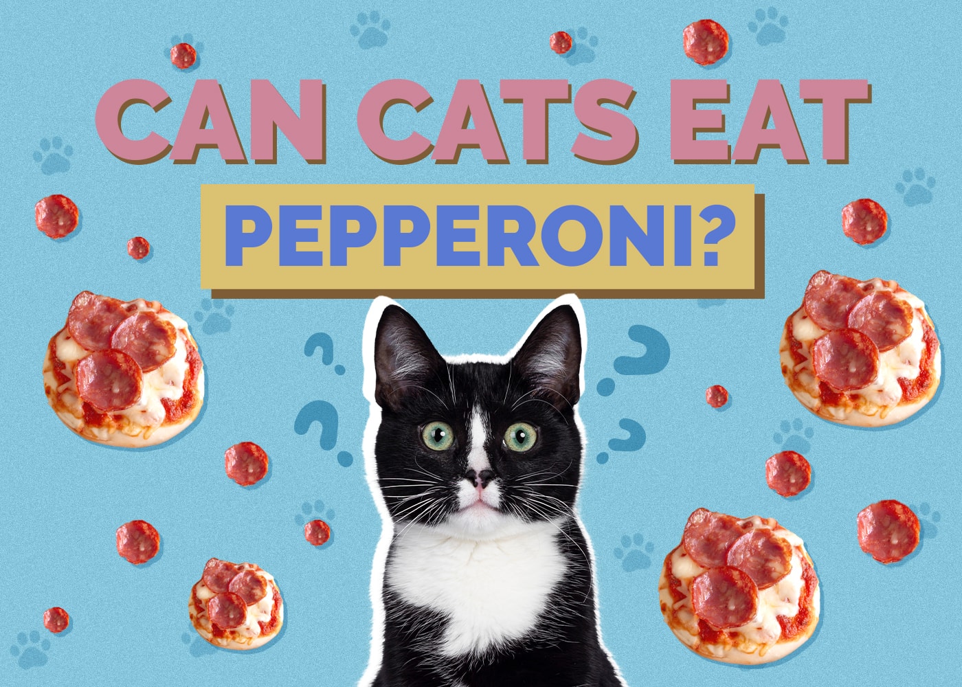 Can Cats Eat Pepperoni? Vet-Reviewed Nutrition Facts & FAQ